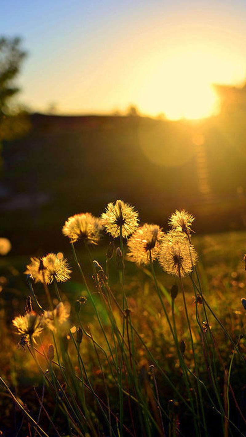 如何学习党章（有什么方法）