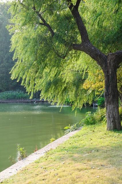 柳永雨霖铃诗词(寒蝉凄切词赏析)(4)