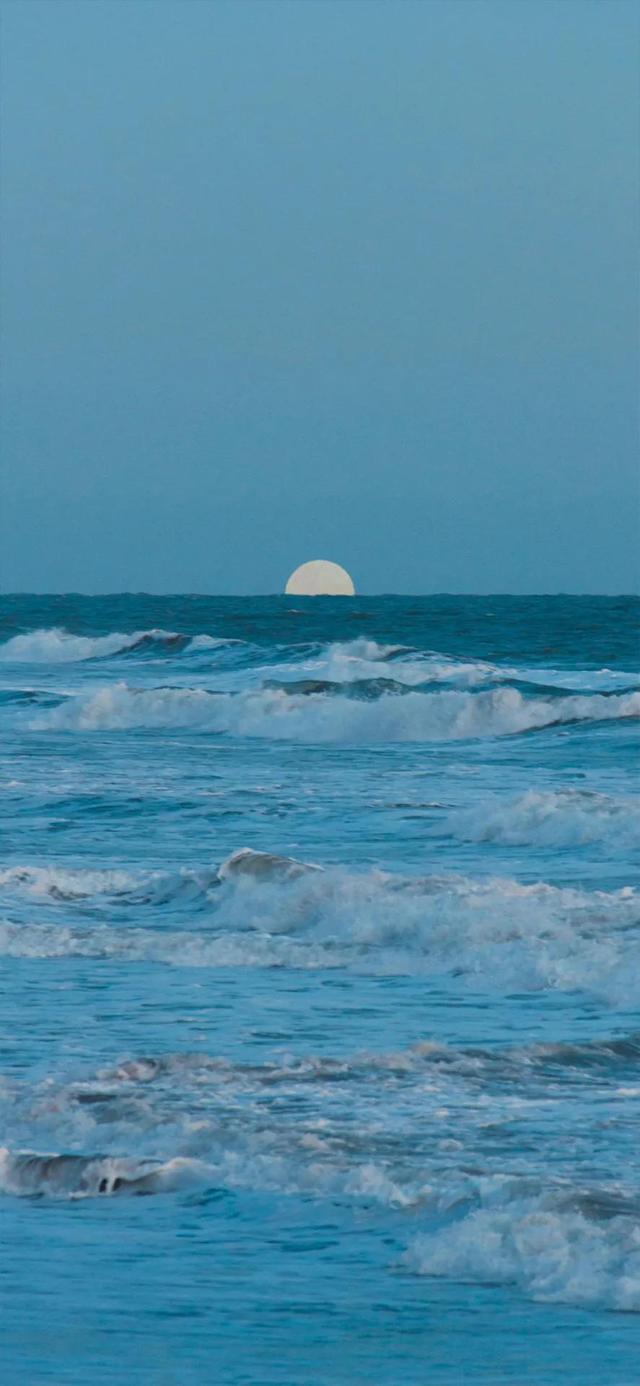 壁纸高清iphone手机壁纸精选(4k苹果手机壁纸全屏高清壁纸)(16)