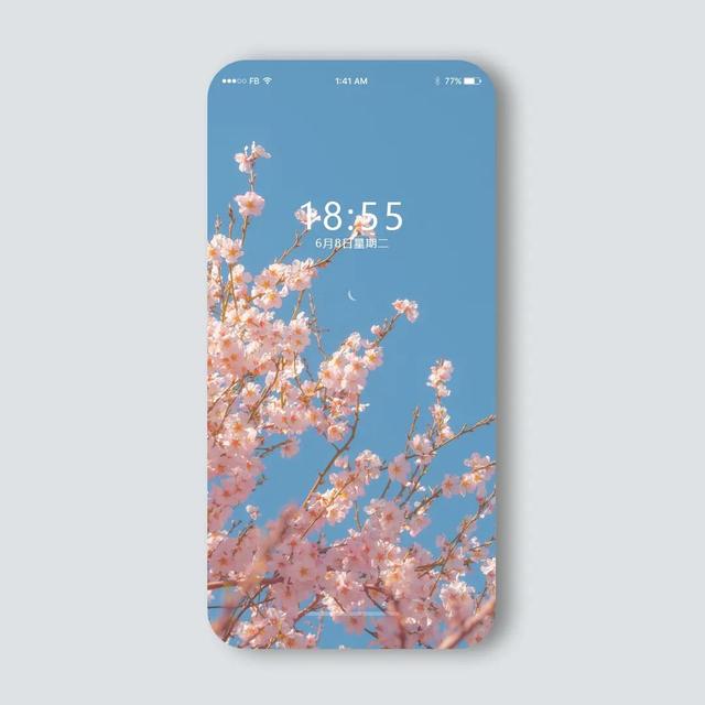 壁纸高清iphone手机壁纸精选(4k苹果手机壁纸全屏高清壁纸)(7)