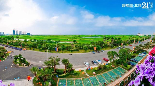 五一带你一起去看海(带你出去放放风)(9)