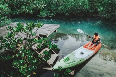 五一带你一起去看海(带你出去放放风)