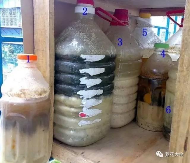 怎样自制氮磷钾肥料(在家也能自制氮)(4)