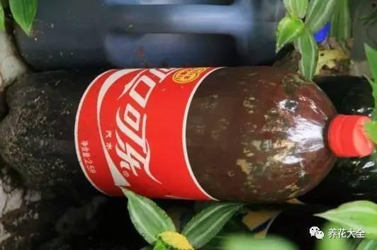 怎样自制氮磷钾肥料(在家也能自制氮)(5)