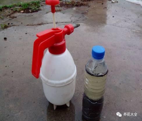 怎样自制氮磷钾肥料(在家也能自制氮)(13)