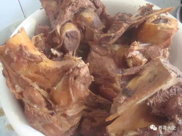 怎样自制氮磷钾肥料(在家也能自制氮)(8)