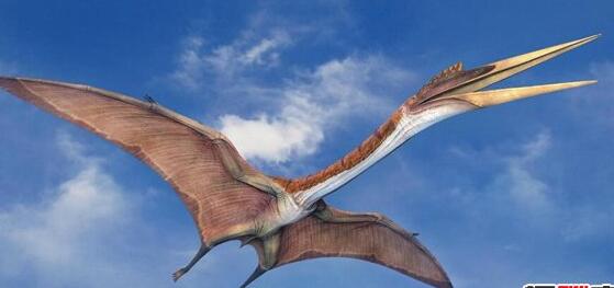 史前十大恐惧动物:十大旷古最猛烈动物有哪些