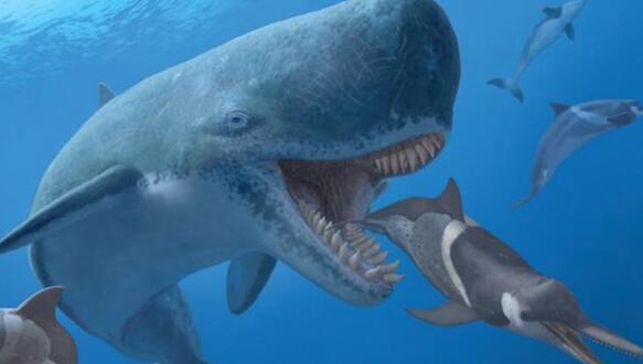 史前十大恐惧动物:十大旷古最猛烈动物有哪些