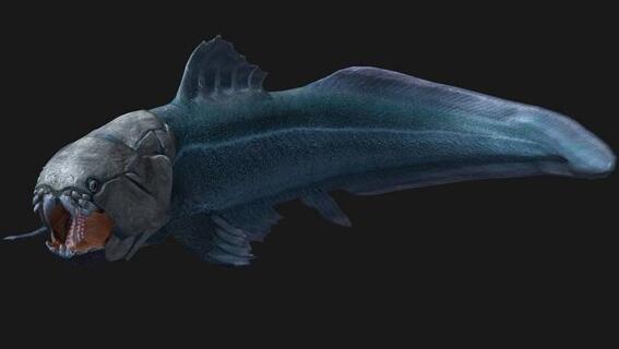 史前十大恐惧动物:十大旷古最猛烈动物有哪些