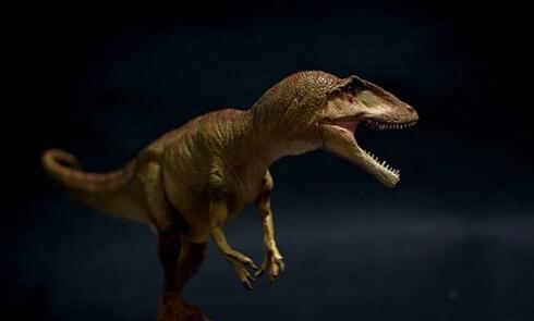 史前十大恐惧动物:十大旷古最猛烈动物有哪些