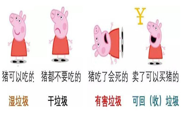 猪能吃的废物分类 怎么样用猪区别废物(能吃的是湿废物)