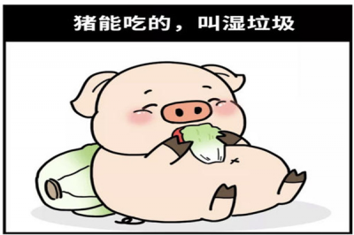 ​猪能吃的废物分类 怎么样用猪区别废物（能吃的是湿废物）