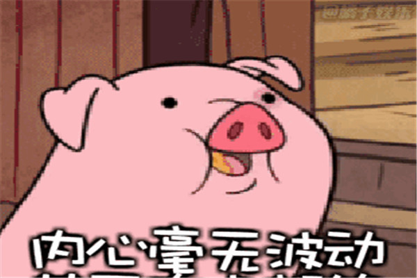 猪能吃的废物分类 怎么样用猪区别废物(能吃的是湿废物)