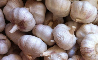 室内最有效的驱蚊方法,院子里驱蚊最有效的方法有哪些图1