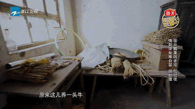 岳云鹏的心酸史你知道多少（岳云鹏个人资料简介大全）