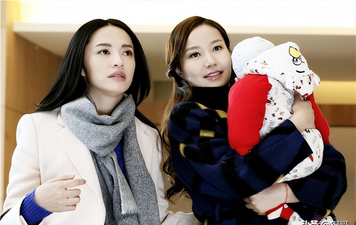 北电毕业的明星有哪些(北电现在有哪些明星在读)  第24张