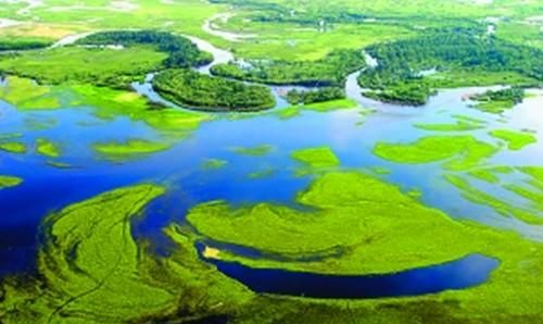 湿地又称为什么，沼泽和湿地被称作地球的什么？图4