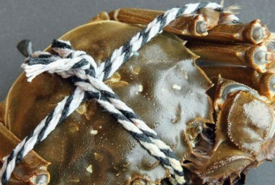 清蒸大闸蟹螃蟹的做法和步骤,清蒸大闸蟹的方法步骤图2