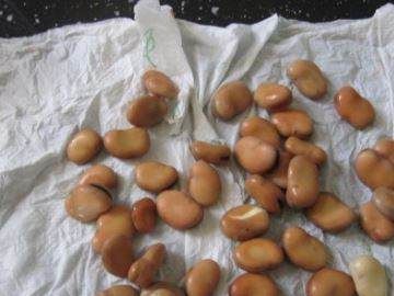 油炸青蚕豆瓣怎样才酥,炸蚕豆瓣怎么做酥脆图6