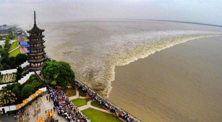 钱塘江观潮时间