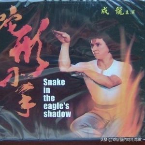 成龙演过多少部电影(成龙一共拍过多少部电影)