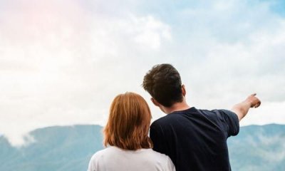 ​伉俪是什么意思，伉俪是什么意思，一般用在什么句子里，举个例子？