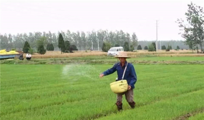 ​硝态氮与氨态氮的辨别 接收效率因素反映都没有共