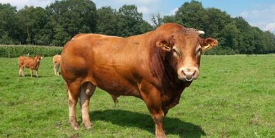 ​阴阳眼怎样开，四种开开阴阳眼的方式_制止运用