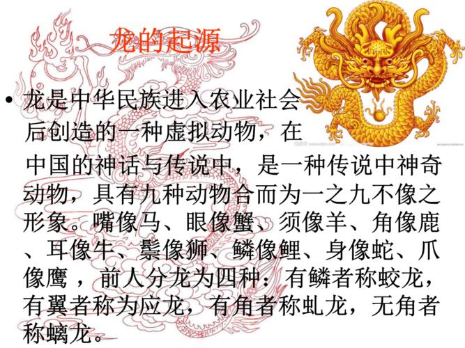 龙的由来（龙的来历）