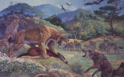 ​恐狼是什么动物?恐狼为什么会毁灭（物竞天择）