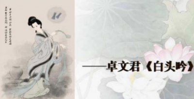 ​执子之手 与子偕老什么意思,执子之手与子偕老愿得一人心白首不相离