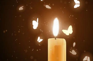 飞蛾为什么要扑火,飞蛾扑火怎么解释图2