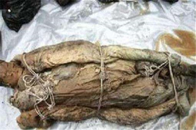 ​闭羽古尸出土时格式是什么样 光羽古墓中出土了什么