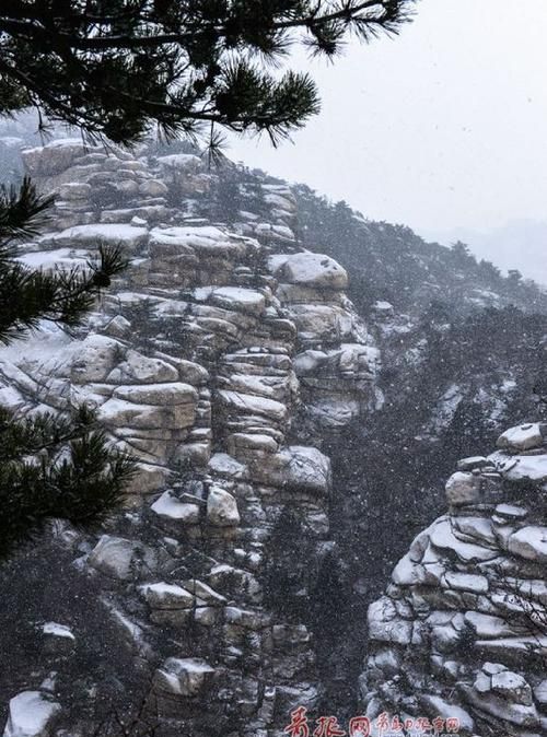 独上高楼高处不胜寒是什么意思