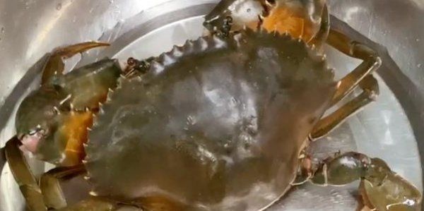 螃蟹需要蒸几分钟,螃蟹需要蒸多久才能熟图3