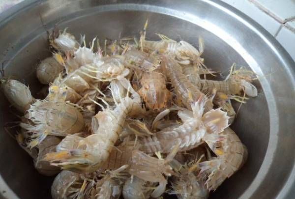 皮皮虾煮多久才熟,皮皮虾需要煮多长时间才能熟图3