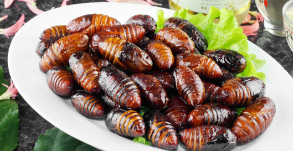 蝉蛹得煮多长时间,蚕蛹一般煮多久能熟图3