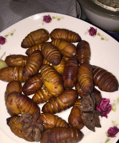 蚕蛹一般煮多久能熟