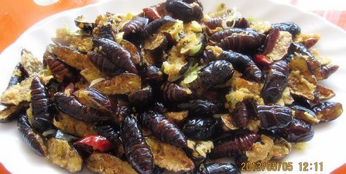 蚕蛹需要煮几分钟能熟