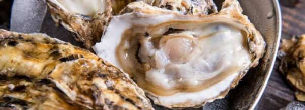 生蚝冷冻了还能吃,生蚝冷冻了可以吃吗图3