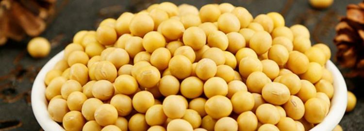 新鲜黄豆的储存方法