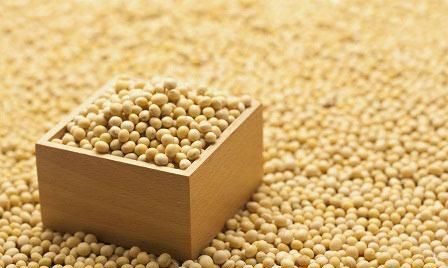 新鲜黄豆放冰箱怎么保存时间长