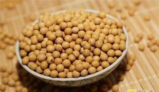 黄豆怎么存放 黄豆储存方法视频