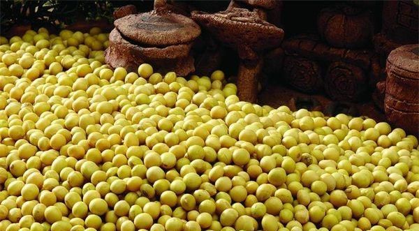 大豆保存最好的方法 有什么保存的方法呢