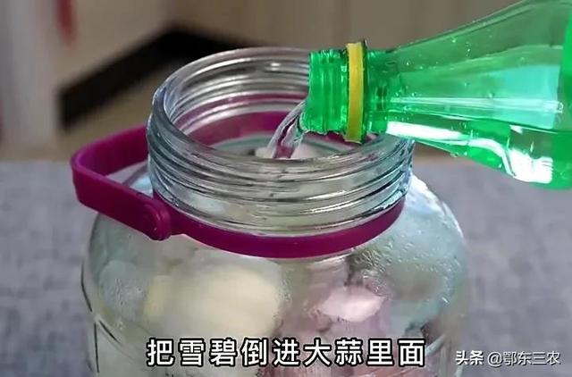 正宗腌制糖醋蒜方法(农村家庭腌制糖醋蒜)(7)