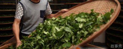 ​大红袍属于什么茶类 大红袍应该属于什么茶