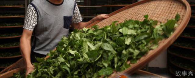 网络图片(侵删)