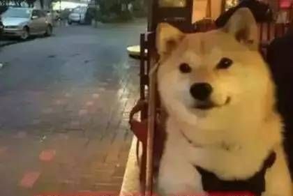 双十一不是光棍节吗,为什么变成了购物狂欢节呢