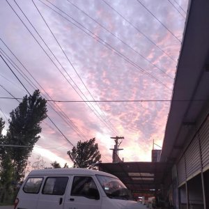 学修车有前途(学修车这点有出息吗)