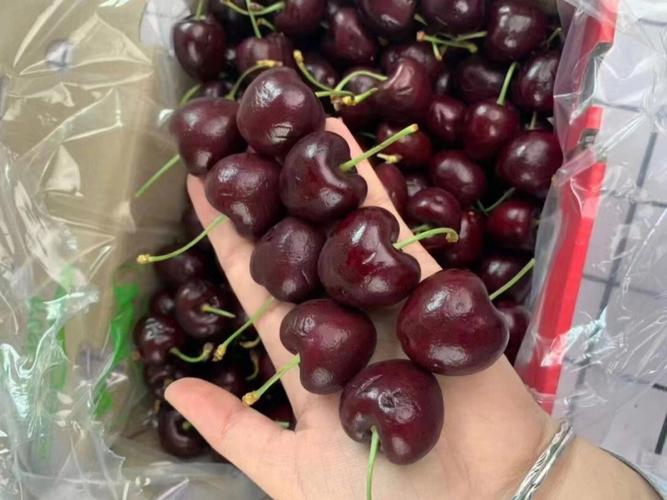 车厘子都是进口的吗（车厘子是否都是进口的）